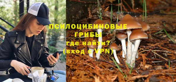 МДПВ Костерёво