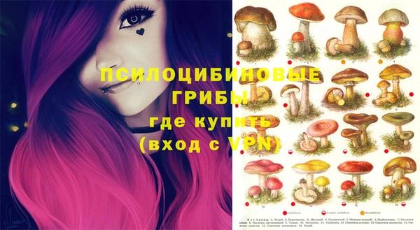 МДПВ Костерёво