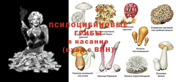 тгк Корсаков